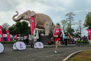 BIB: 
                            <button type="button" onclick="openModal(26528913)" class="btn btn-primary btn-sm float-right btn-popup" data-toggle="modal" data-target=".modal-high-quality">
                        <i class="fas fa-shopping-cart"></i> Add to Cart
                    </button>
                                            <button type="button" onclick="isThisMe(26528913, true)" class="btn btn-success btn-sm float-right btn-popup btn-isme hidden" data-toggle="tooltip" data-placement="bottom" title="นี่คือรูปของคุณใช่ไหม คลิกที่นี่เพื่อเอาเข้าอัลบั้ม">
                        <i class="fas fa-plus"></i> Add to album
                    </button>
                    <button type="button" onclick="isThisMe(26528913, false)" class="btn btn-warning btn-sm float-right btn-popup btn-isnotme hidden">
                        <i class="fas fa-ban"></i> Remove from album
                    </button>